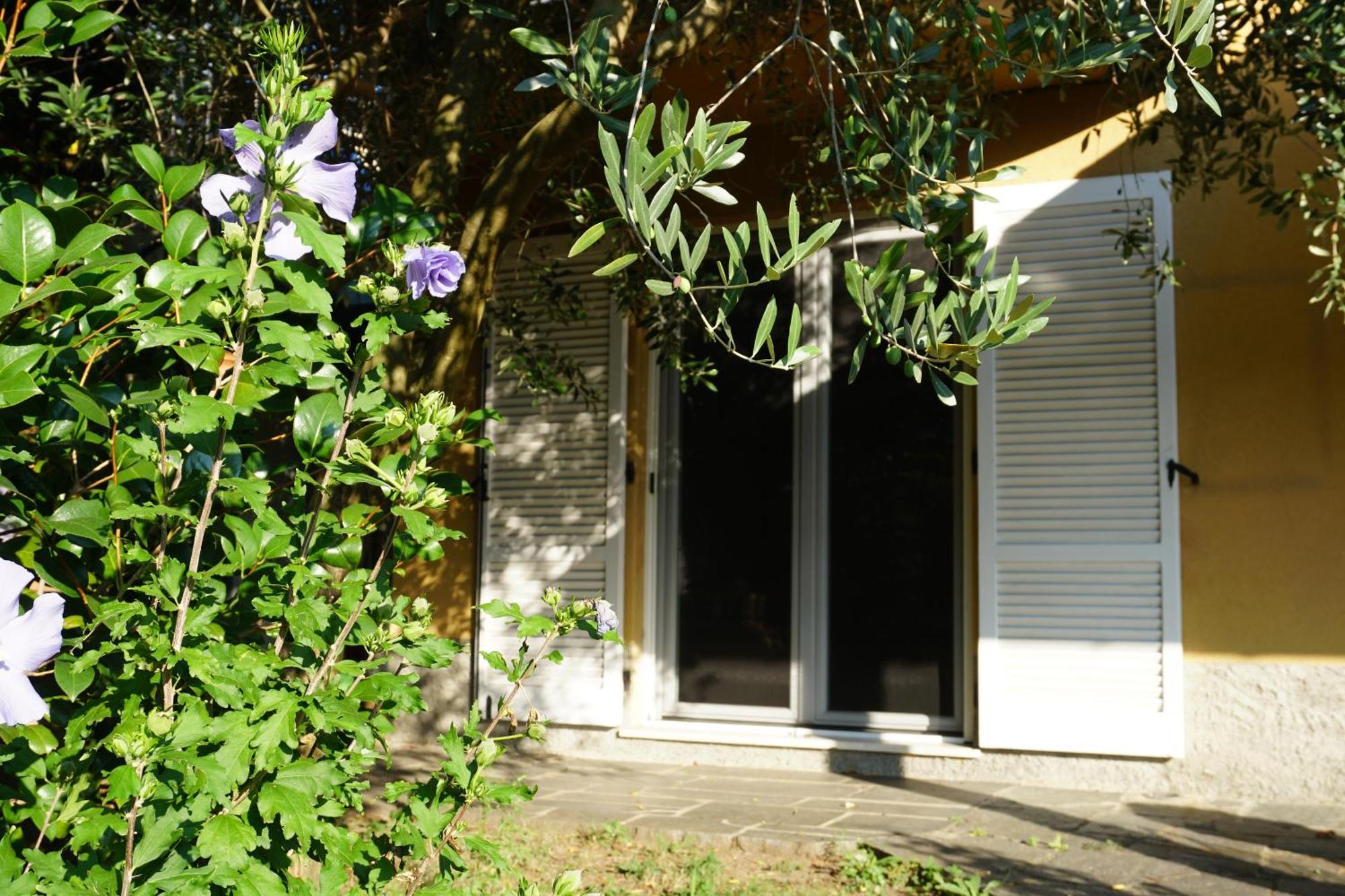 Golden Hill Bed and Breakfast Collina d'Oro Eksteriør billede
